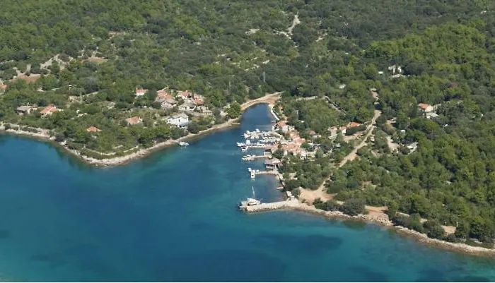 Ana Pogana Punta Kriza